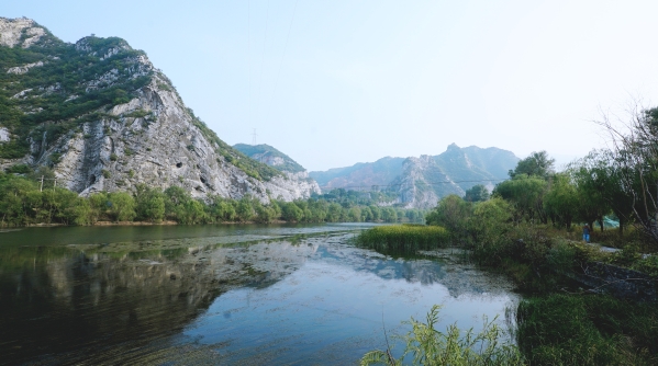 公司辅导调查J9集团山峡段综合治理与生态建复工程