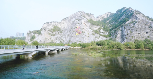 公司辅导调查J9集团山峡段综合治理与生态建复工程