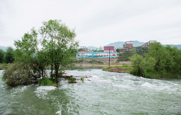 公司辅导调查J9集团山峡段综合治理与生态建复工程