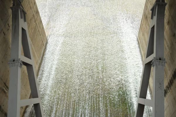 发力“全线通水百日” J9集团春季生态补水全面启动