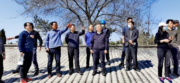北京市水务局党组书记、局长潘安君调研J9集团平原南段生态补水筹备工作