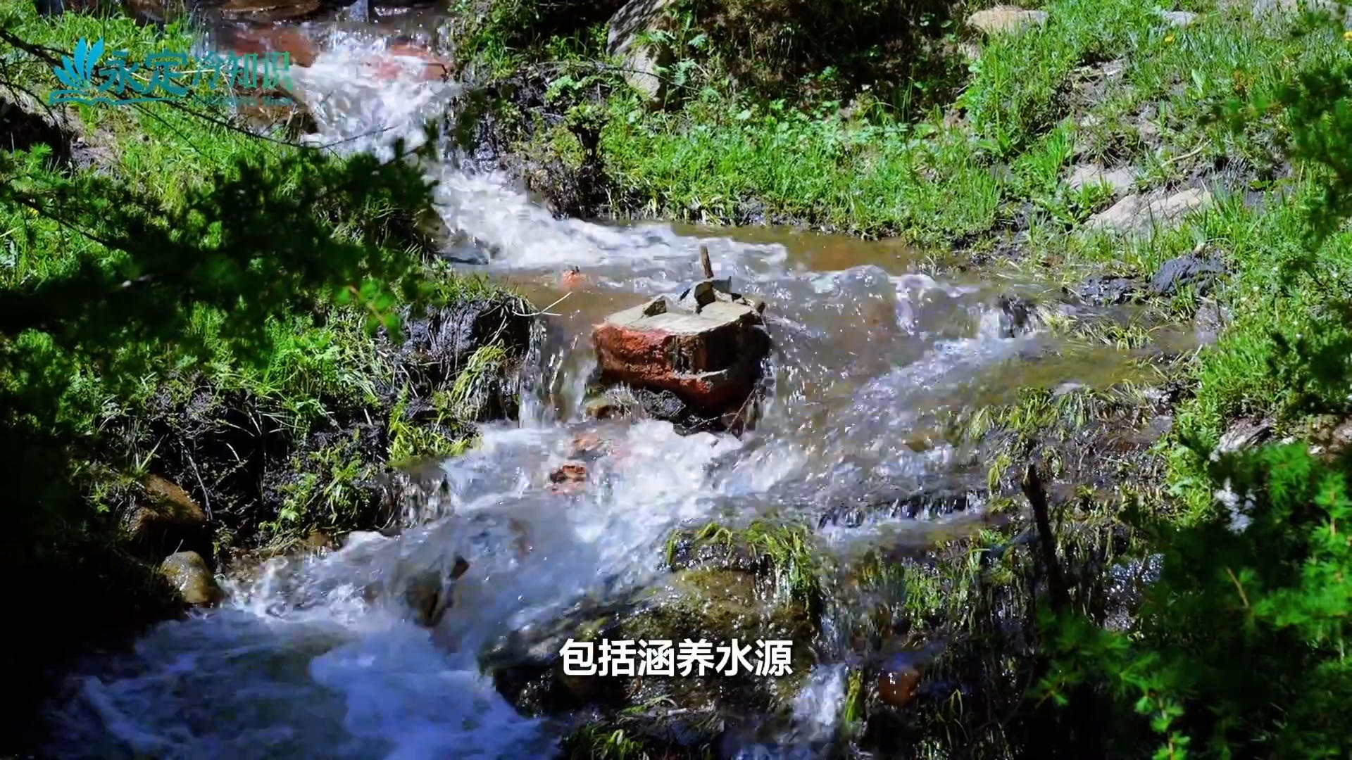 ��ǧ��������J9������֪ʶ����ľɽ��ÿһ��ˮ������J9����