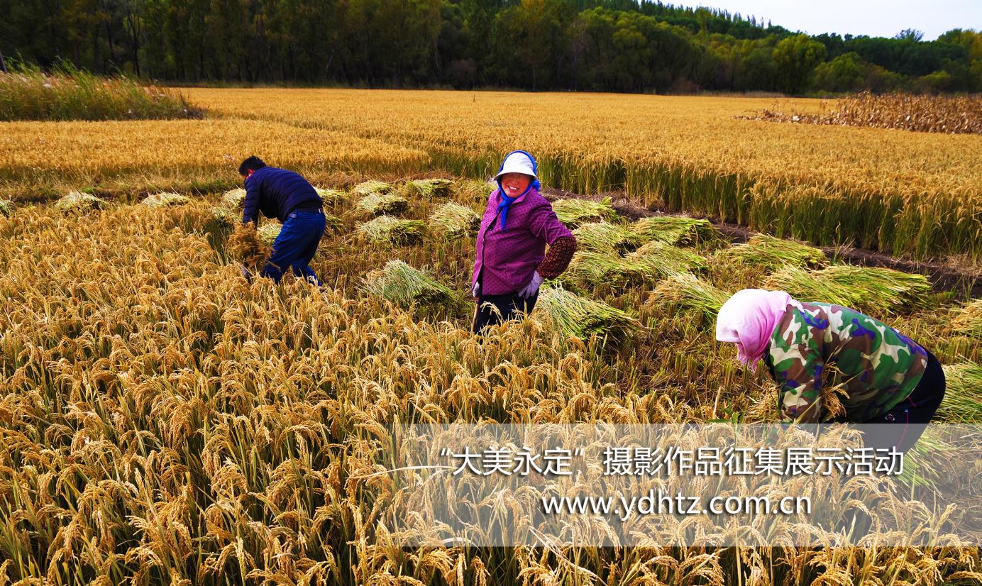 第三届“大美永定”摄影征集如火如荼第三批入围文章新鲜出炉 第三届“大美永定”摄影征集如火如荼第三批入围文章新鲜出炉